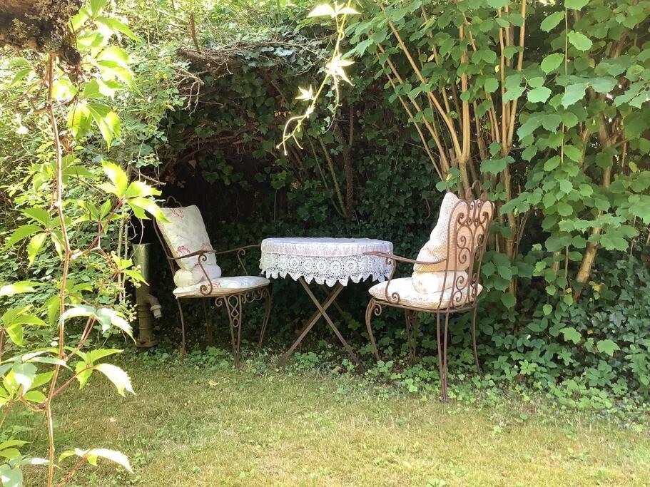 Hébergement de vacances Ambiance La Foret
